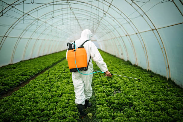 Professional Pest Control in Boerne, TX