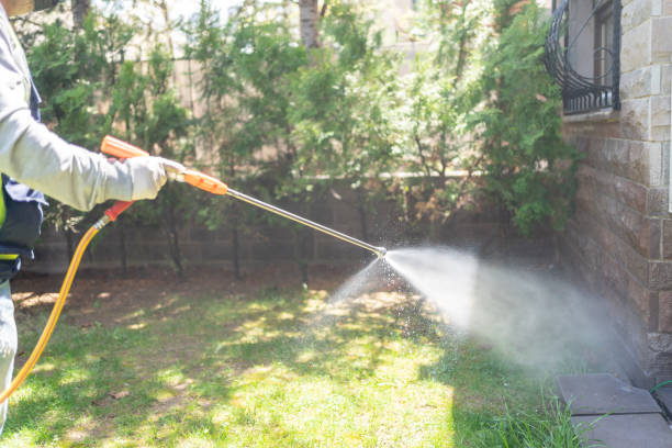 Best Mosquito Control Services  in Boerne, TX